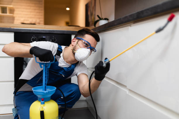 Best Wasp Removal Services  in Harahan, LA
