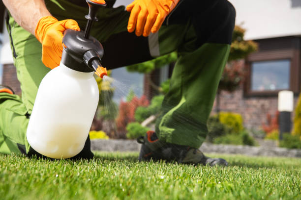 Best Emergency Pest Control  in Harahan, LA