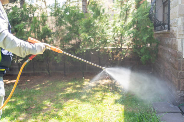 Best Affordable Pest Control Services  in Harahan, LA
