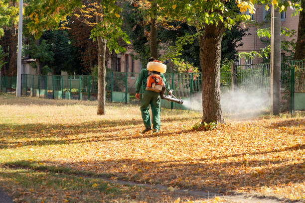 Best Local Pest Control Services  in Harahan, LA